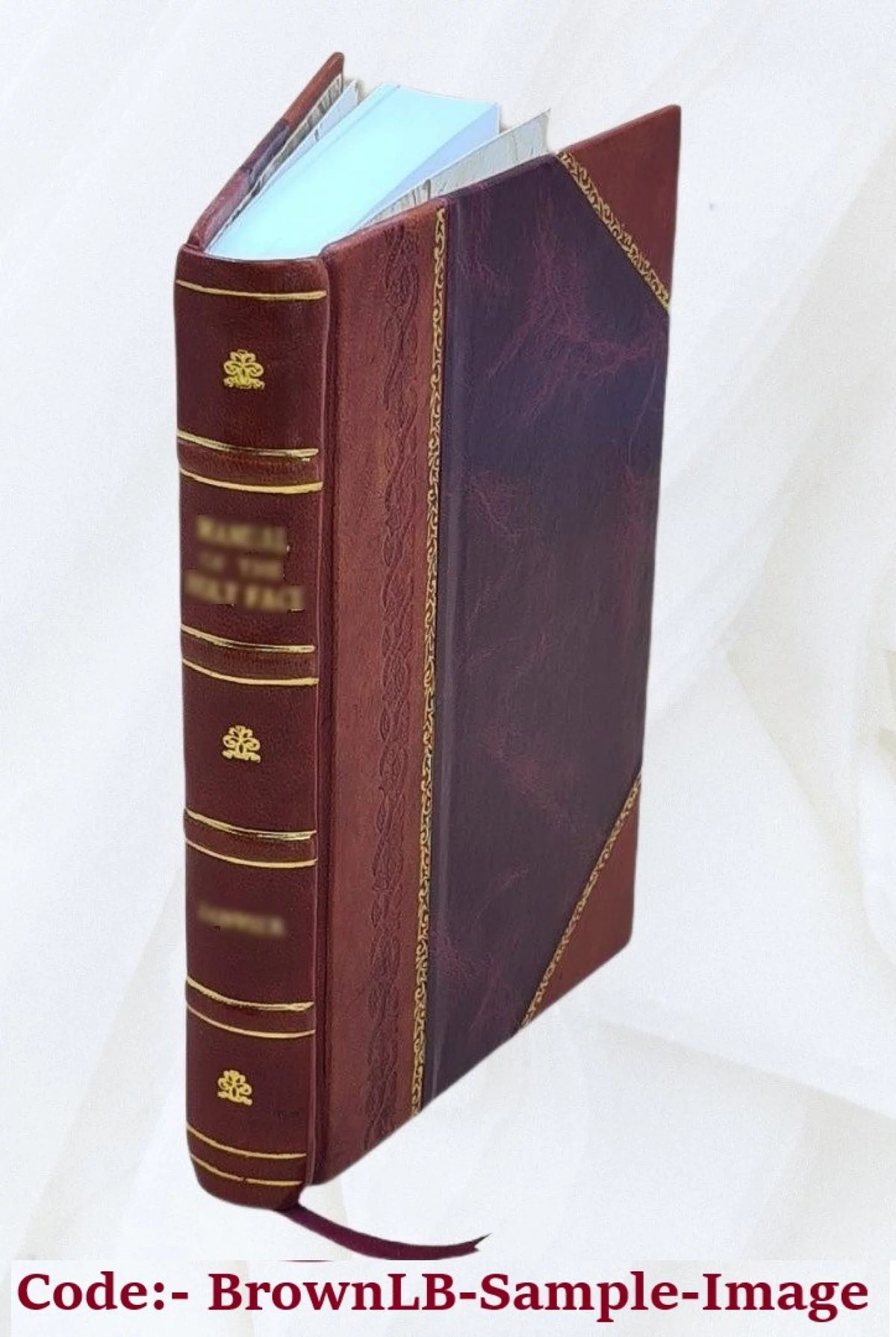 Manganese Nodules Literature Bibliography and Index Leather Bound A231