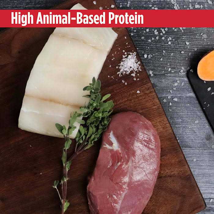 Grain Free Turkey Dry Cat Food O55233