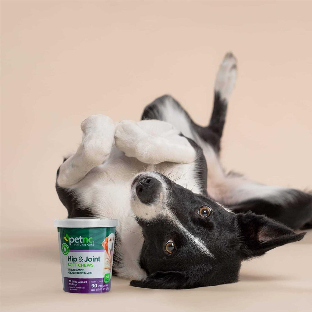 Hip and Joint Soft Chews for Dogs Q47636
