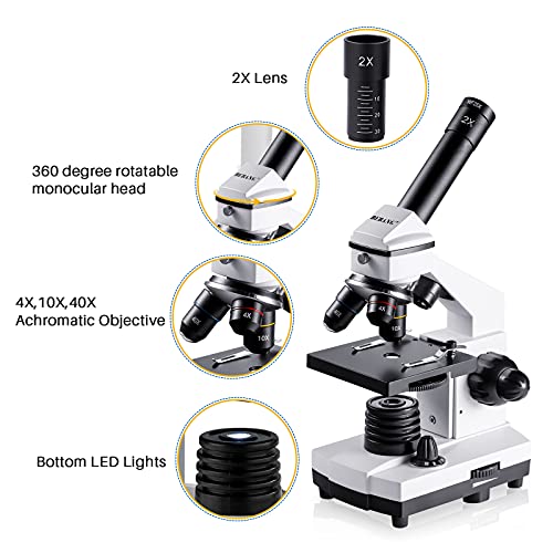 100X-2000X Compound Microscope with Slides D207685