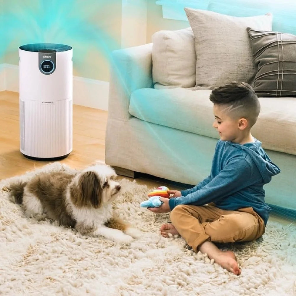 Open Box Air Purifier with HEPA Air Filter W609