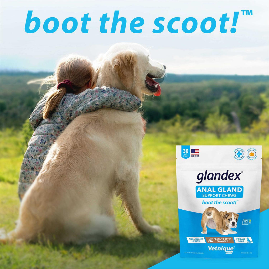 Anal Gland Soft Chews Supplement for Dogs O283599