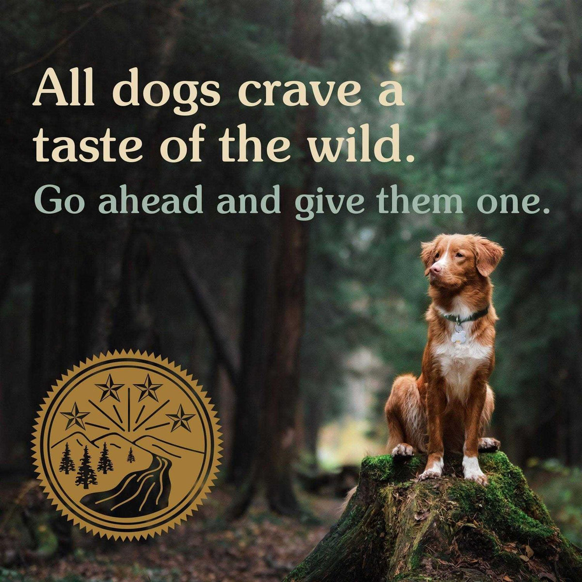 Dog Food W696