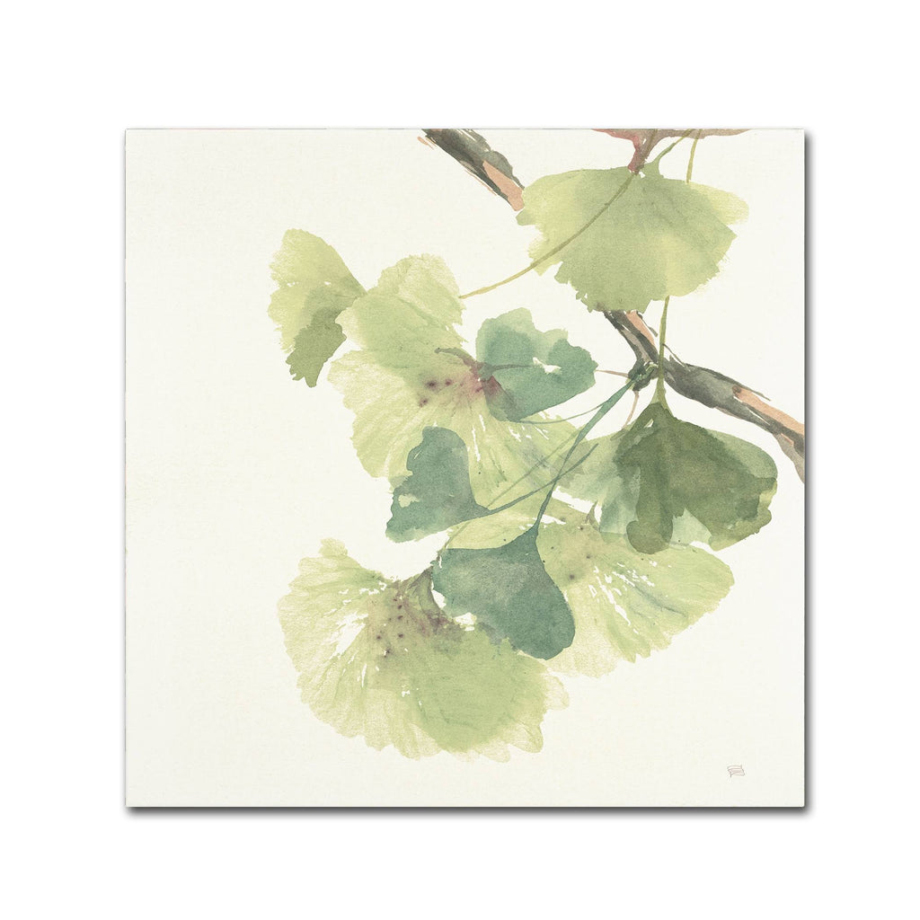 Canvas Art B738863