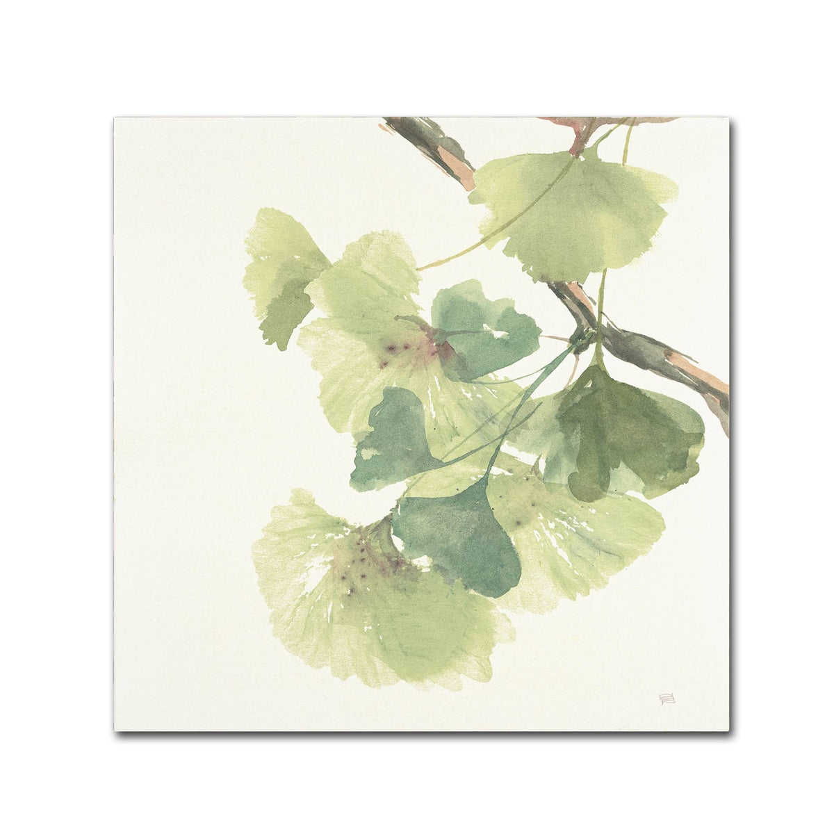 Canvas Art B738863