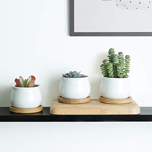 White Ceramic Mini Succulent Pots with Bamboo Trays Set of 6 S24456