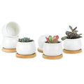 White Ceramic Mini Succulent Pots with Bamboo Trays Set of 6 S24456