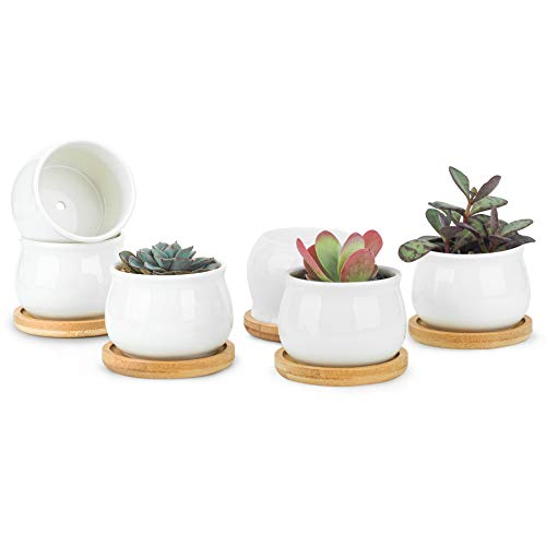 White Ceramic Mini Succulent Pots with Bamboo Trays Set of 6 S24456