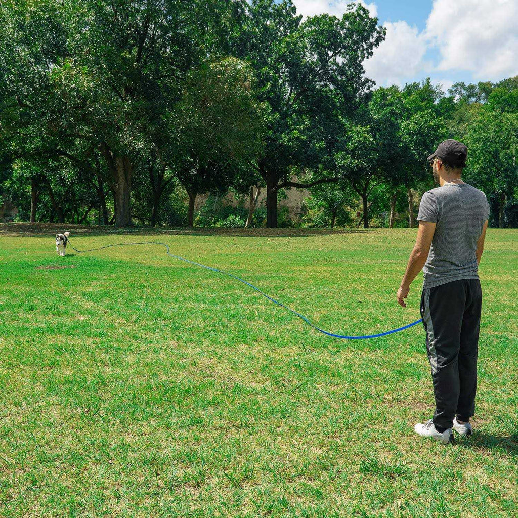 Dog Puppy Training Leash 15ft 20ft 30ft 50ft 100ft Z40363