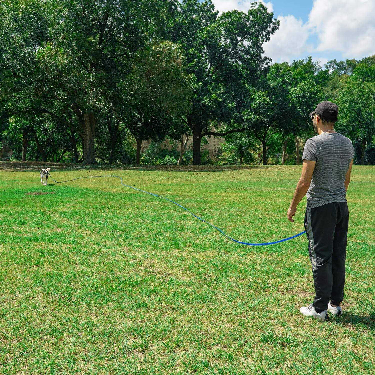 Dog Puppy Training Leash 15ft 20ft 30ft 50ft 100ft Z40363