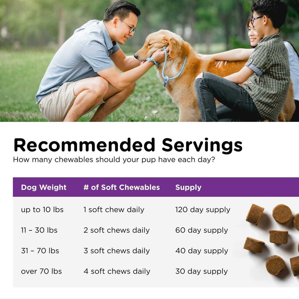 Pre and Probiotic Soft Chews for Dogs K4744