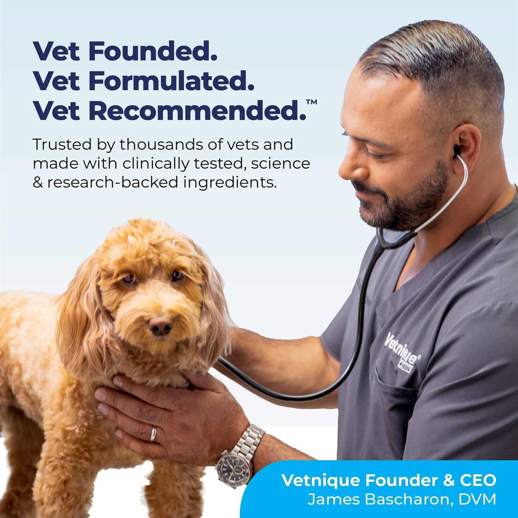 Anal Gland Support Powder for Dogs & Cats Y892531