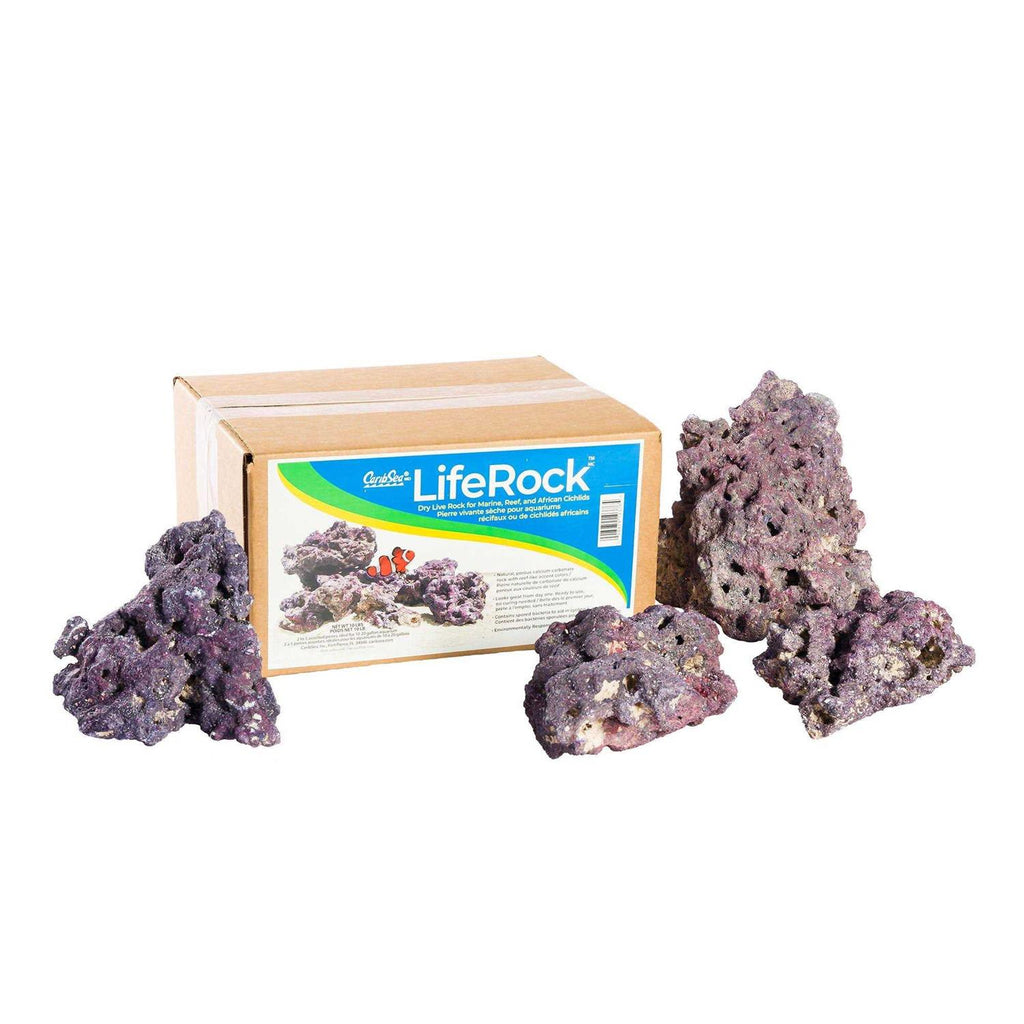 LifeRock P752