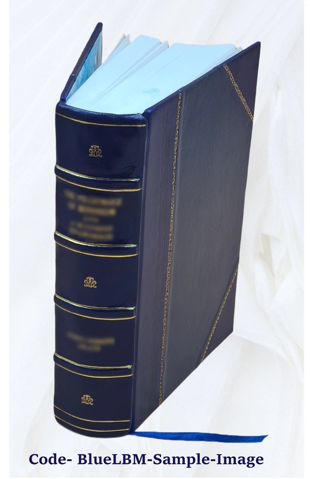 Leather Bound Book C959