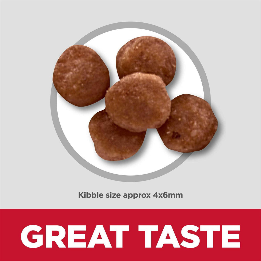 Indoor Kitten Dry Cat Food H7428