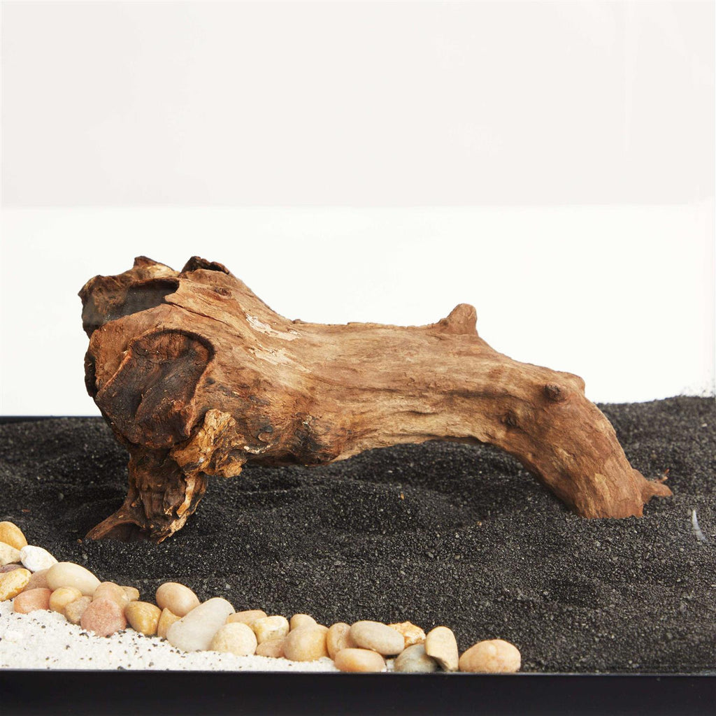 Driftwood E206