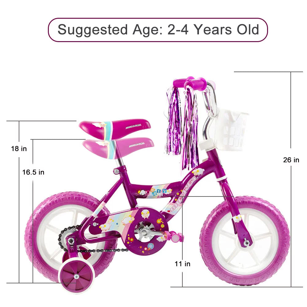 2 Kid's BMX Bicycle with Coaster Brake and Training Wheels X13796