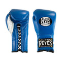16 oz Electric Blue Training Gloves F6249
