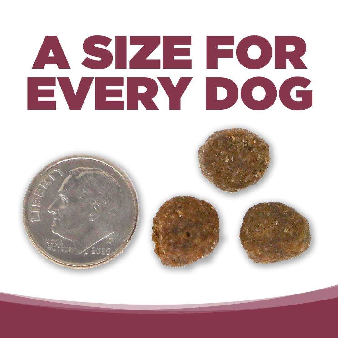 Salmon Potato Dry Dog Food V2604