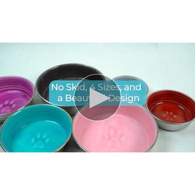 Le Bol D851