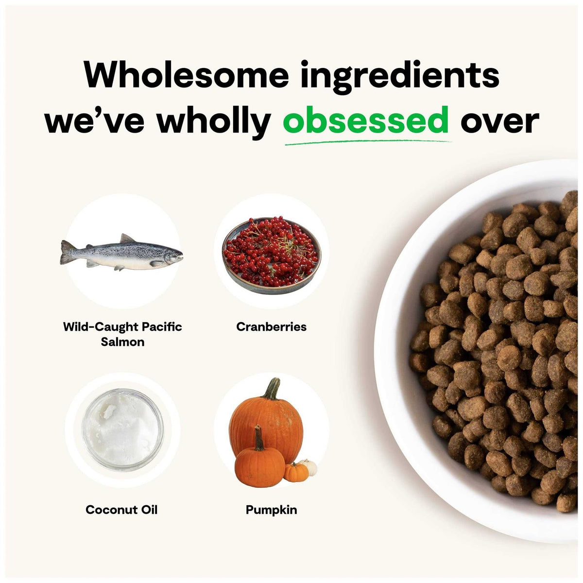 Grain-Free Wild-Caught Salmon Dry Dog Food X6945