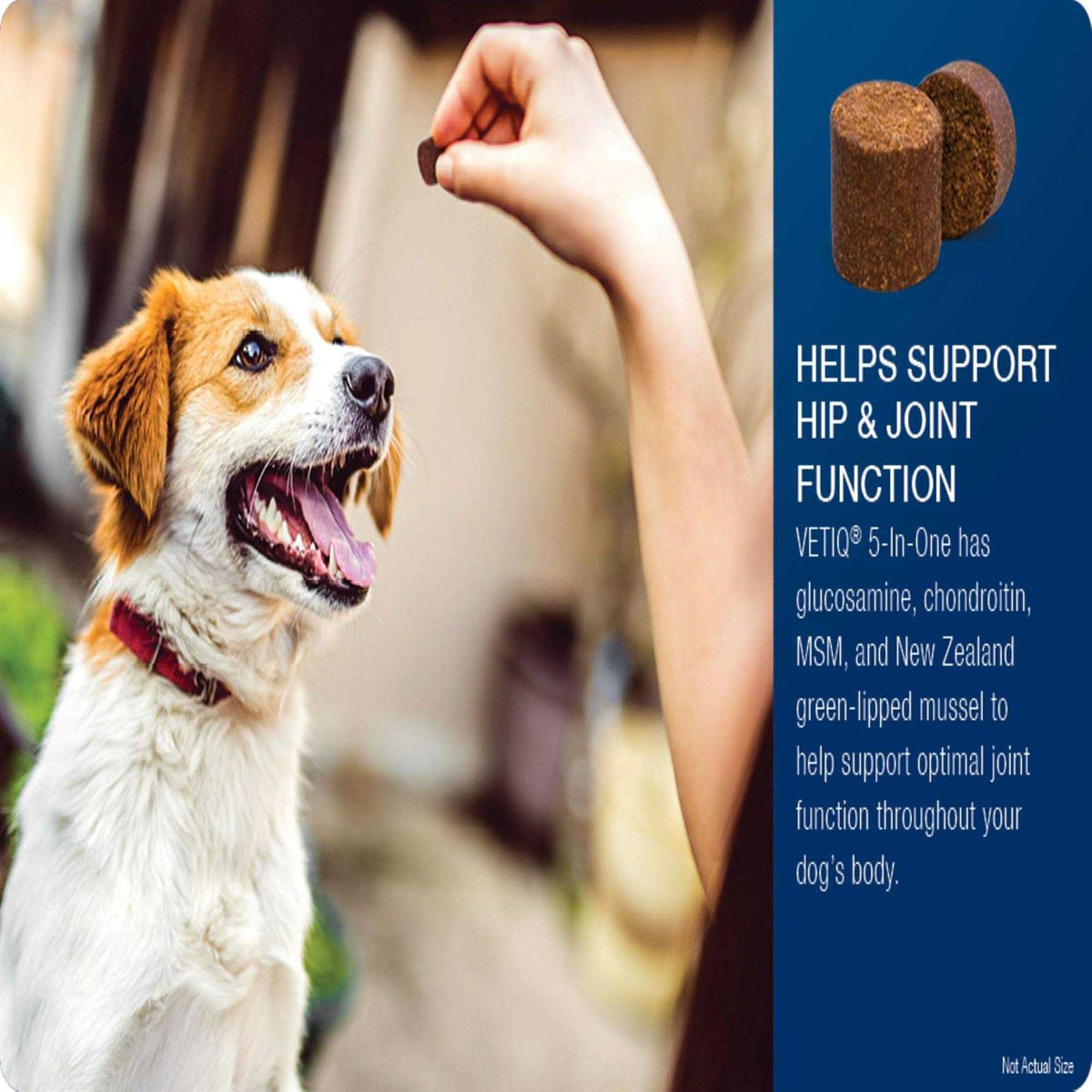 Soft Chews for Dogs A196