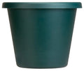 Green Classic Pots Case Pack 6 Y362604
