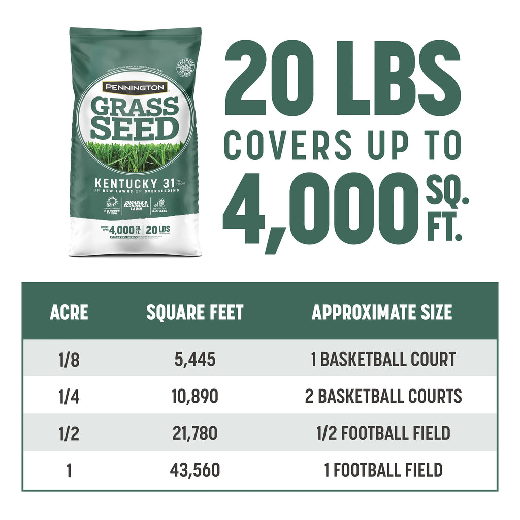 Kentucky 31 Tall Fescue Grass Seed, 20 lb. P5502