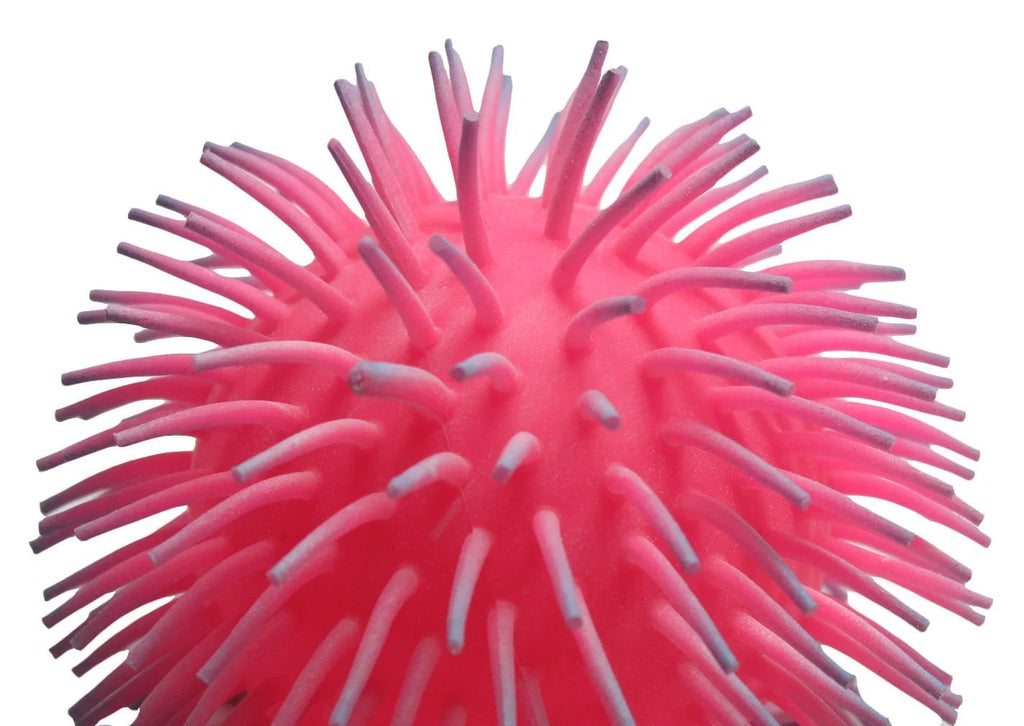 9" Puffer Ball Sensory Fidget Toy J921305