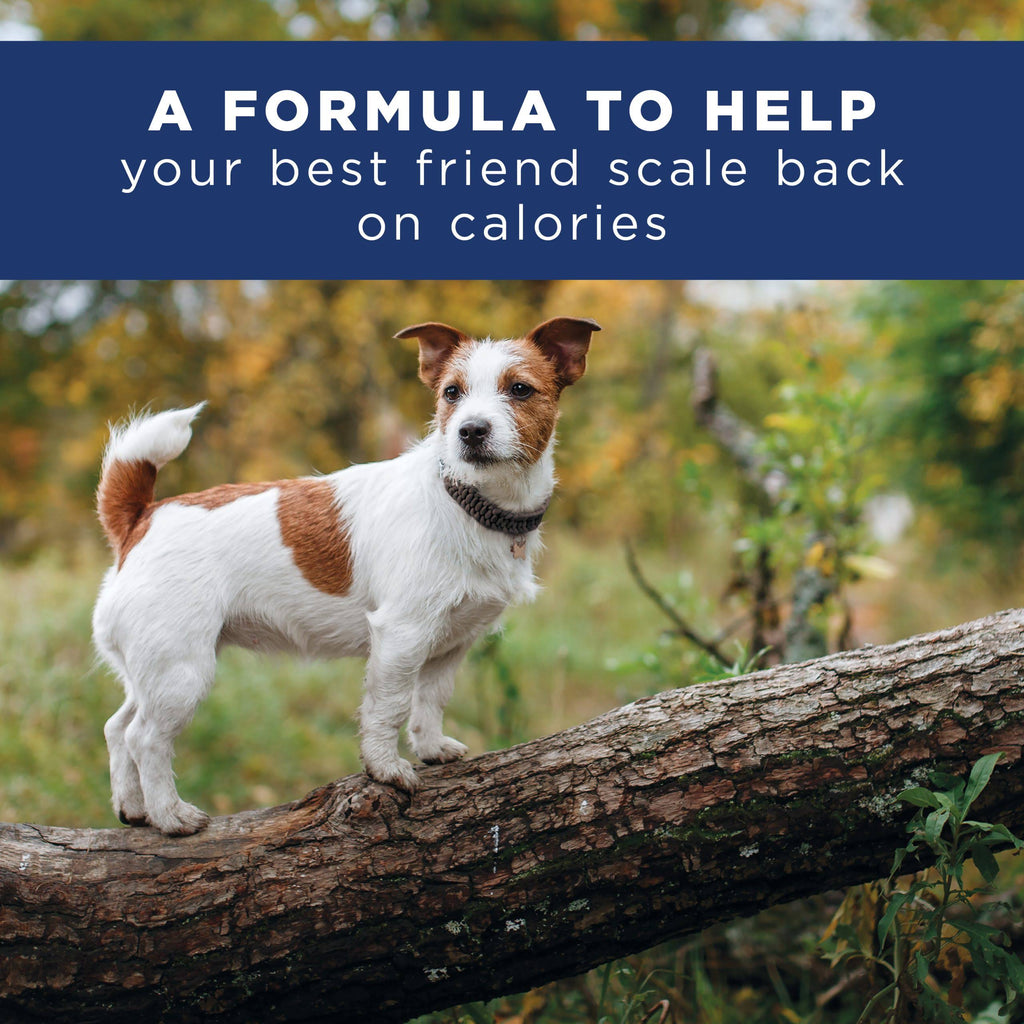 28 lb Chicken Meal Salmon Meal Barley Formula Dog Food Y439928
