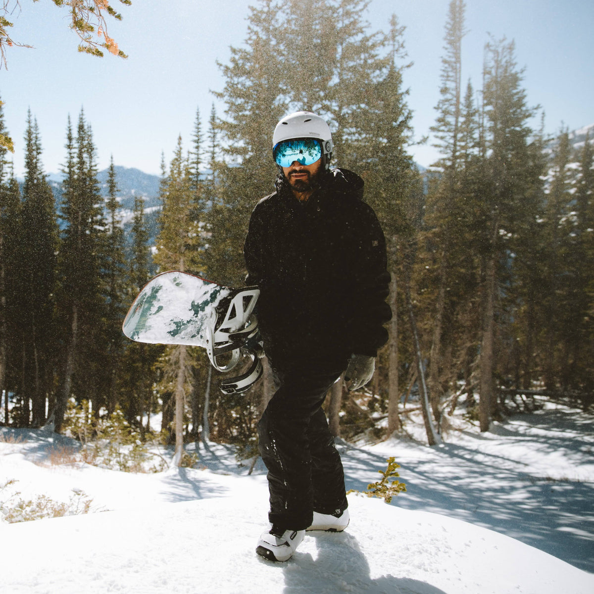 Ski/Snowboard Goggles F539