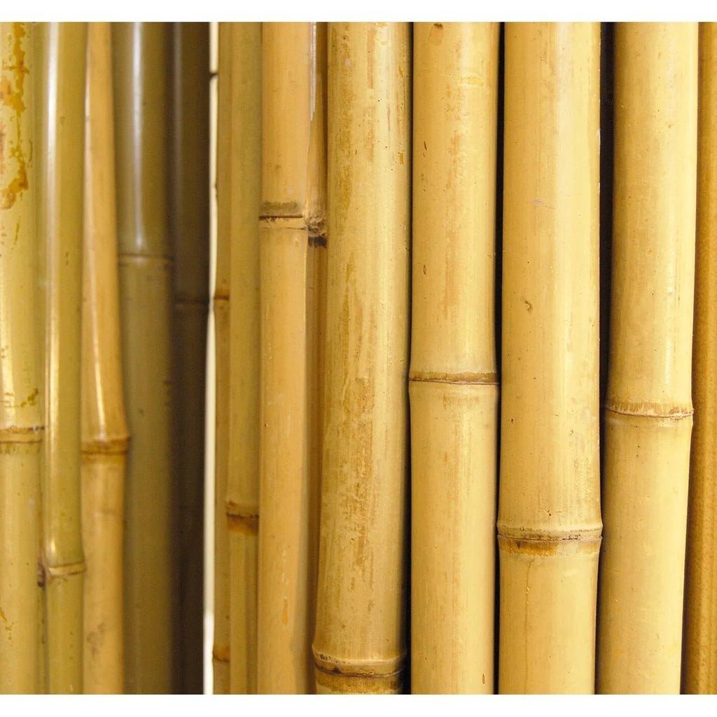 Natural Bamboo Fencing Garden Screen Rolled Fence Panel 3/4 D x 4' H x 8' L A3197