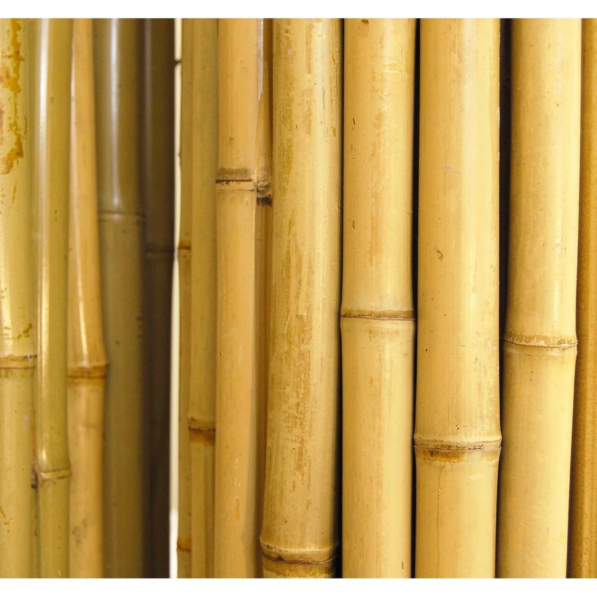 Natural Bamboo Fencing Garden Screen Rolled Fence Panel 3/4 D x 4' H x 8' L A3197