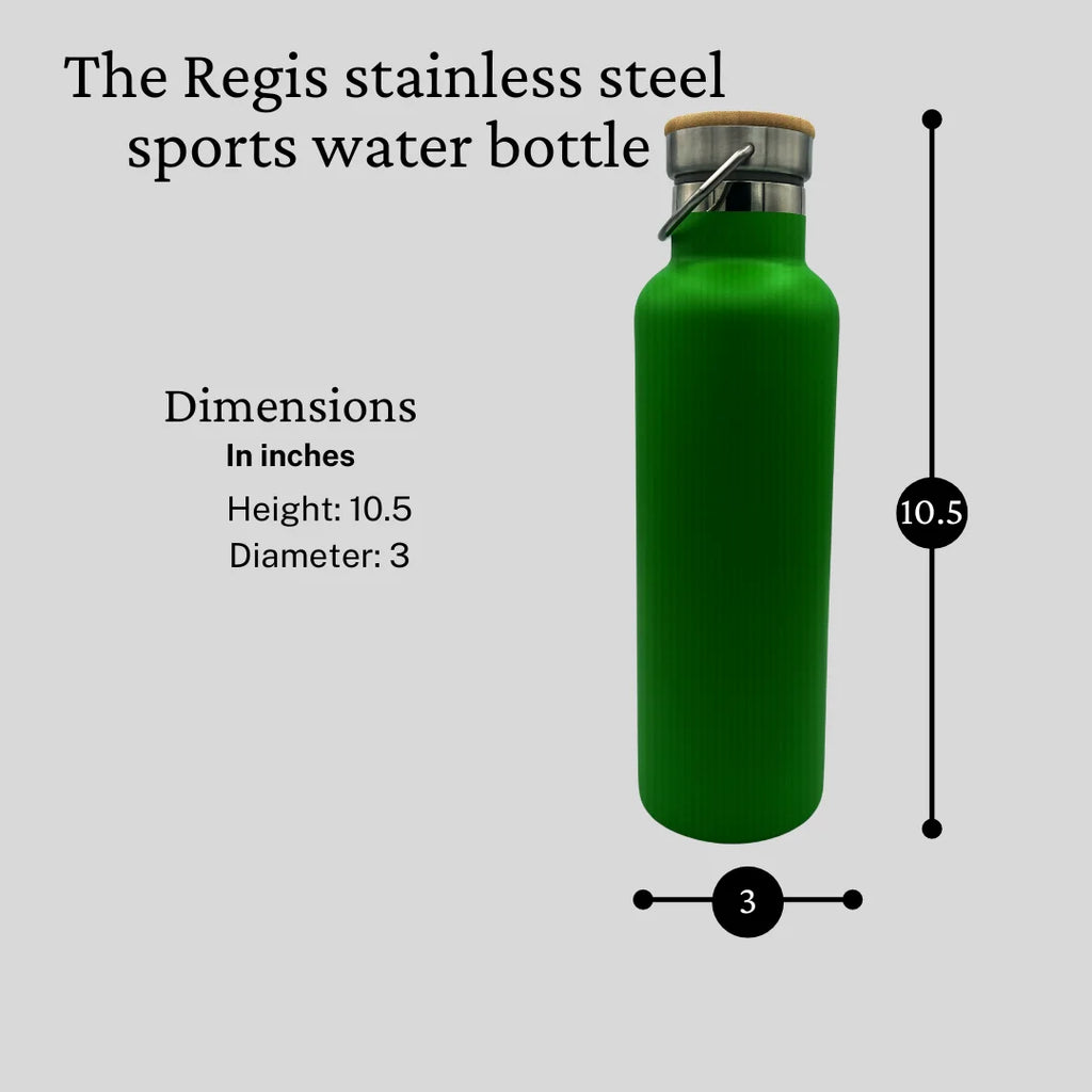 LIME Stainless Steel Sports Water Bottles 25oz R469