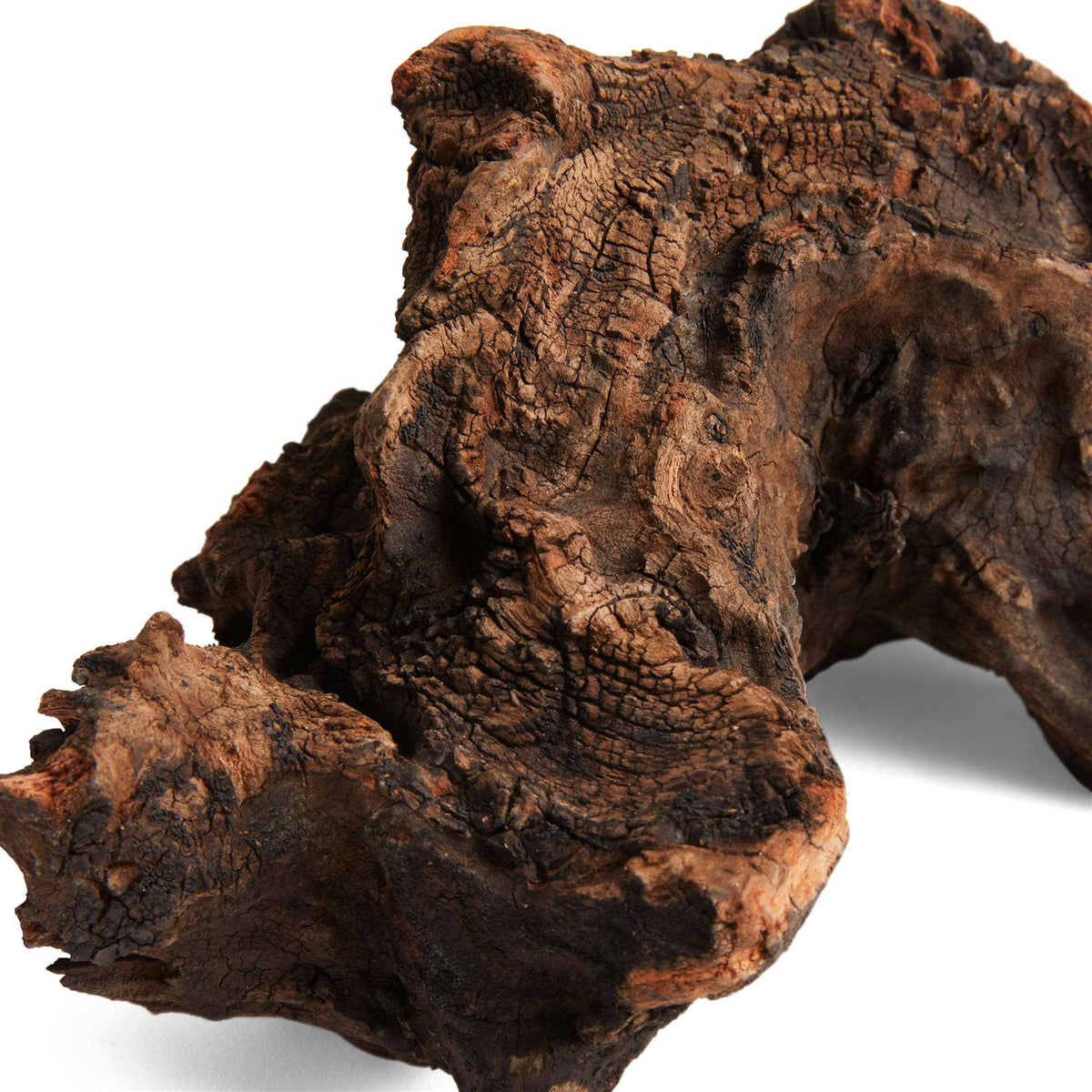 Driftwood E206