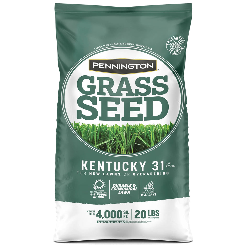 Kentucky 31 Tall Fescue Grass Seed, 20 lb. P5502
