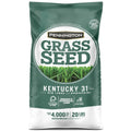 Kentucky 31 Tall Fescue Grass Seed, 20 lb. P5502