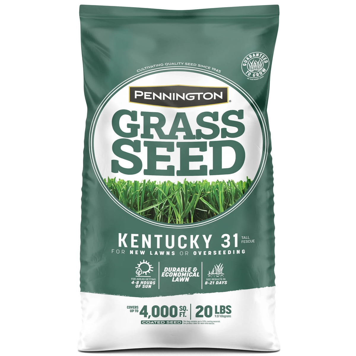 Kentucky 31 Tall Fescue Grass Seed, 20 lb. P5502