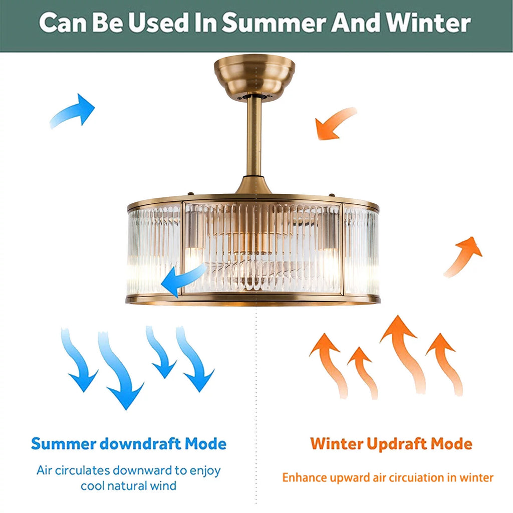 18inch Caged Ceiling Fan Light with Remote Control S195