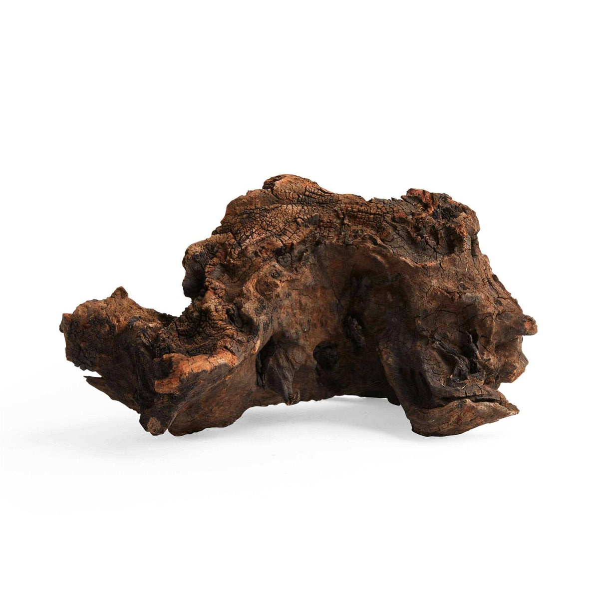 Driftwood E206