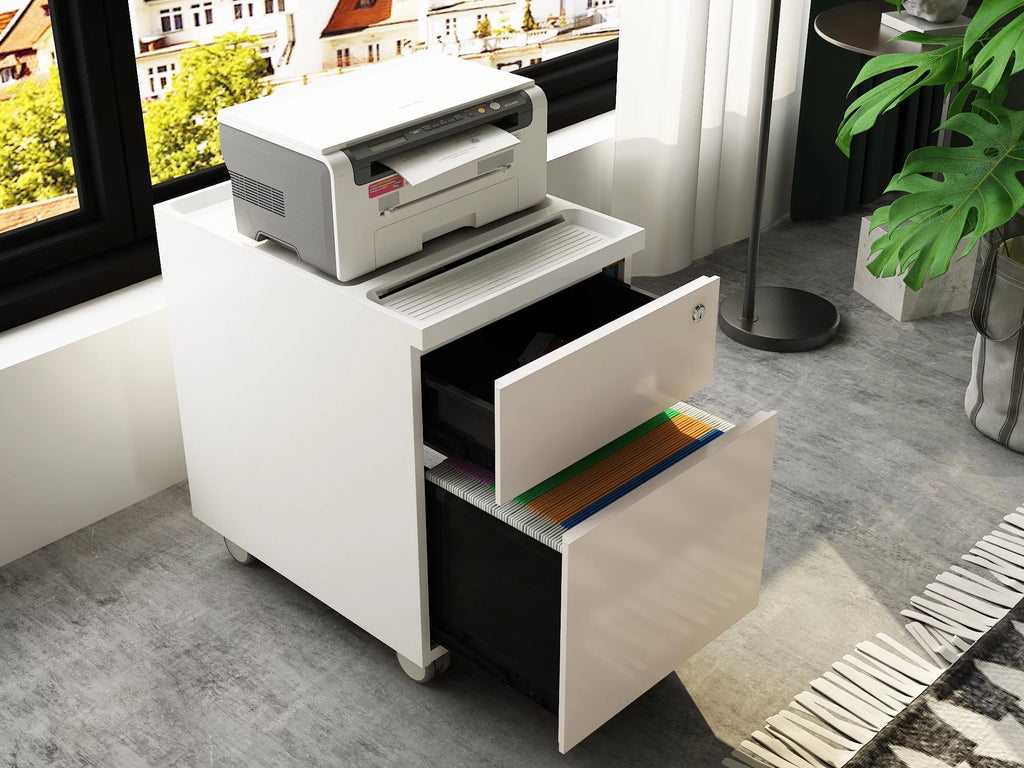 Pink 2-Drawer Metal Filing Cabinet with Wheels L665