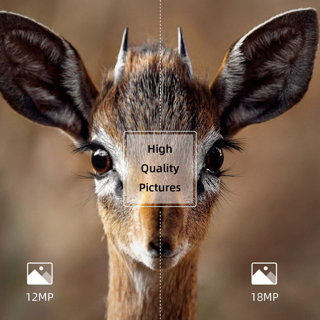 2 Pack 18MP 1080P Game Hunting Scouting Camera with 3 Infrared Sensors Motion Activated Night Vision 2.4" LCD M497