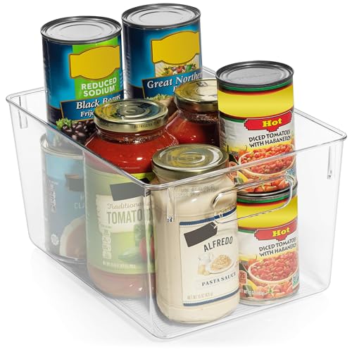 Clear Plastic Storage Bins E222