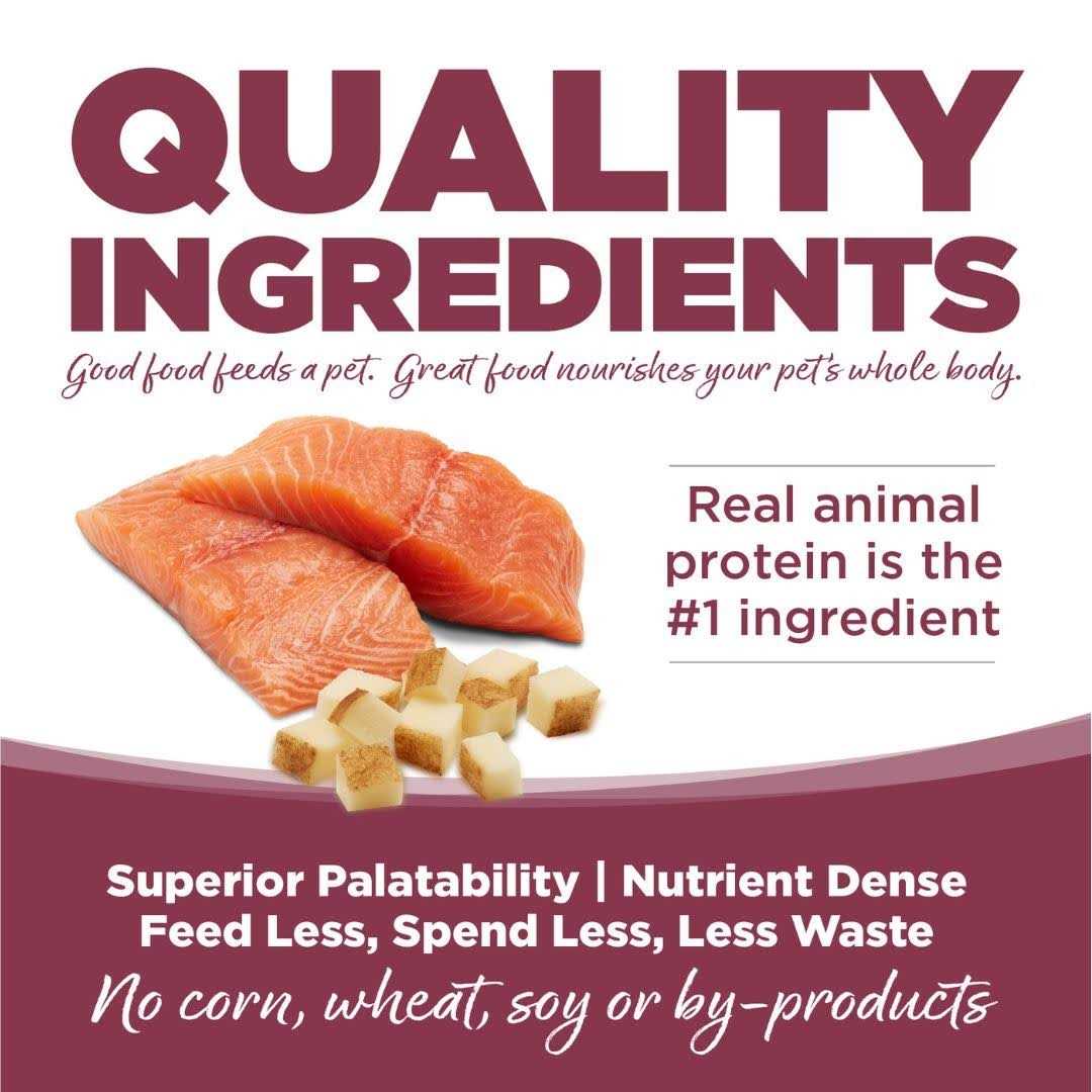 Salmon Potato Dry Dog Food V2604