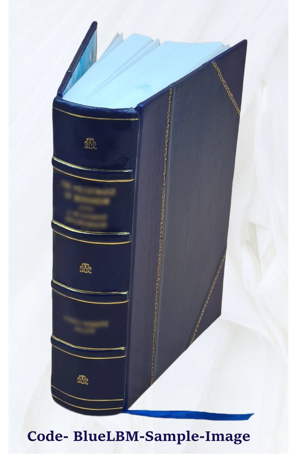 Leather Bound Book I259488