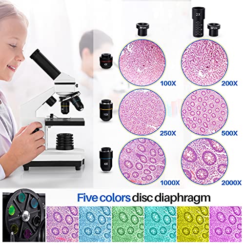 100X-2000X Compound Microscope with Slides D207685