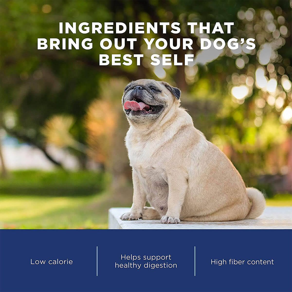 28 lb Chicken Meal Salmon Meal Barley Formula Dog Food Y439928