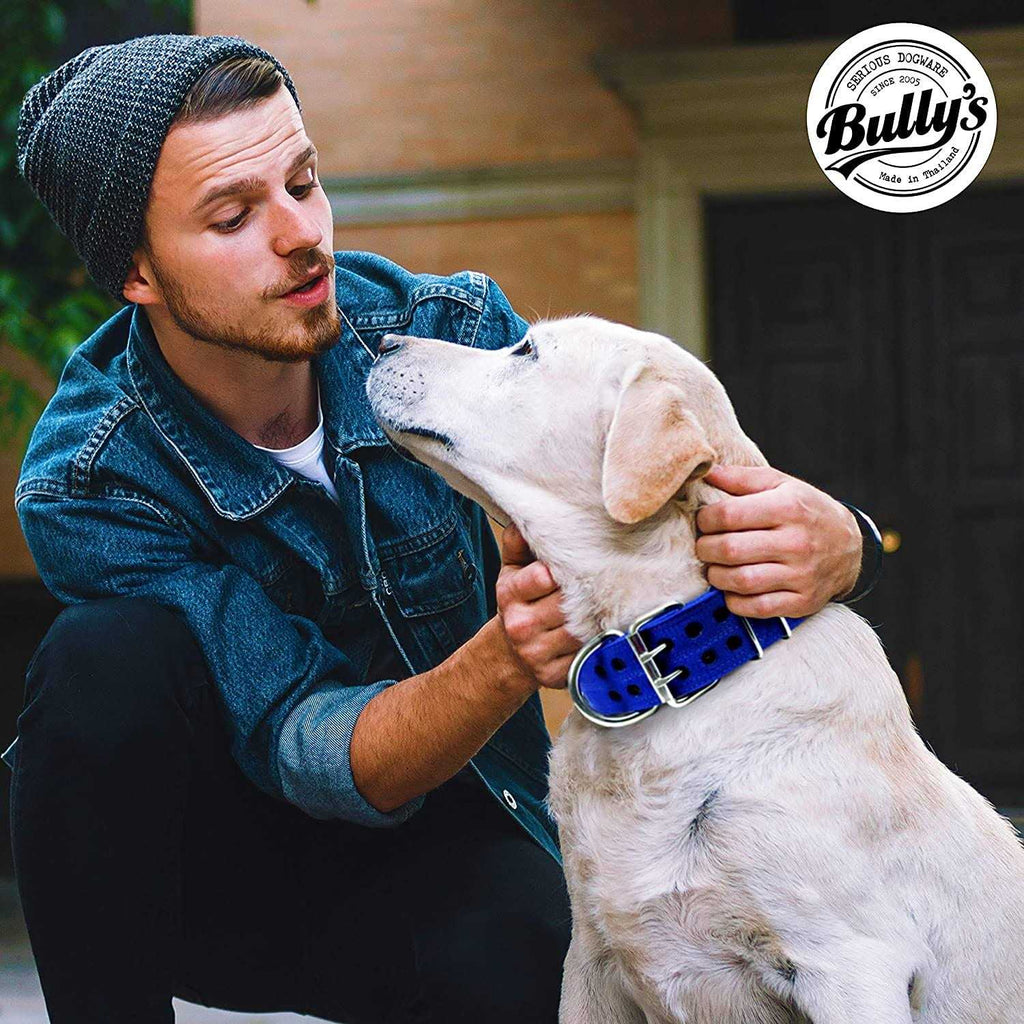 Dog Collar for Large Dogs J12670