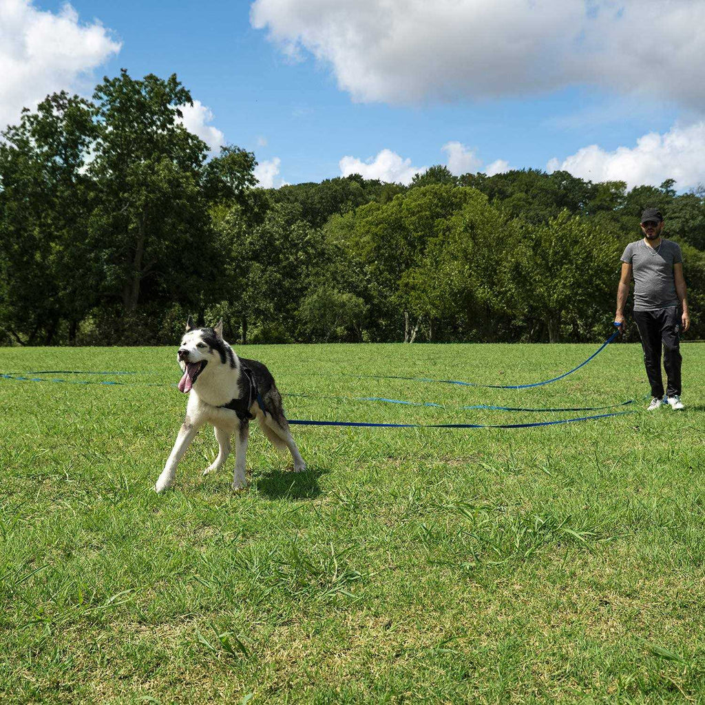Dog Puppy Training Leash 15ft 20ft 30ft 50ft 100ft Z40363