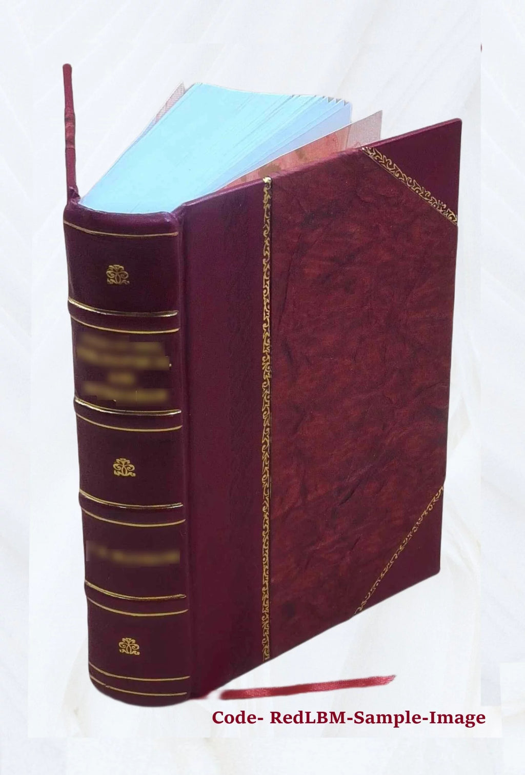 Leather Bound Book C959
